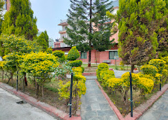Company Banner 1