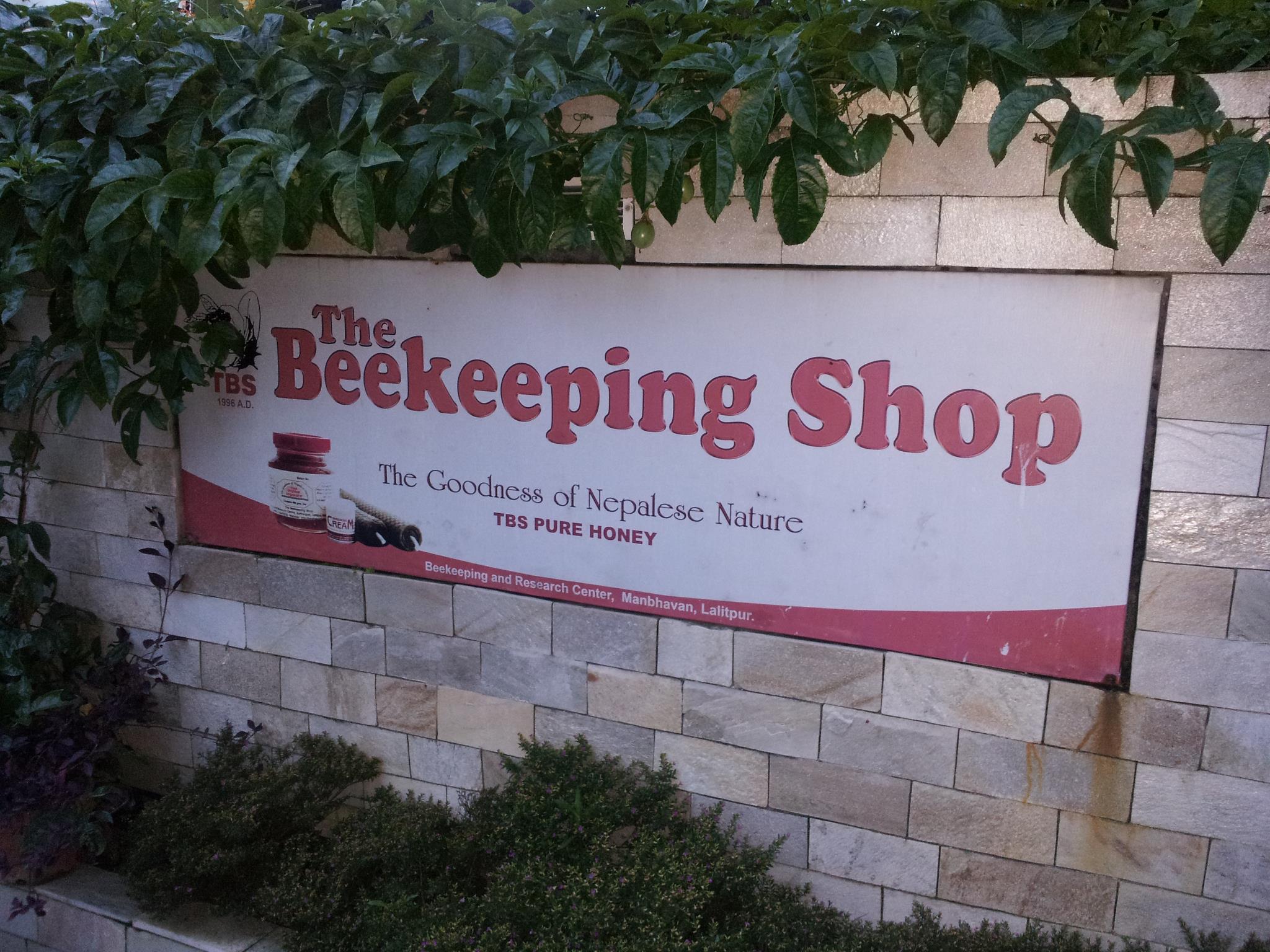 Company Banner 1