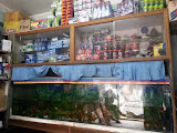 Company Banner 2
