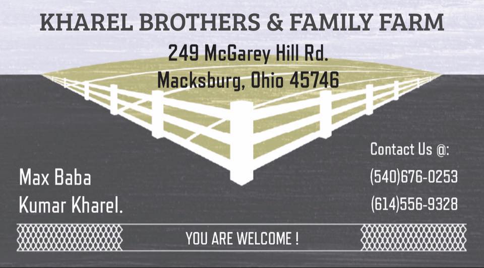 Company Banner 2