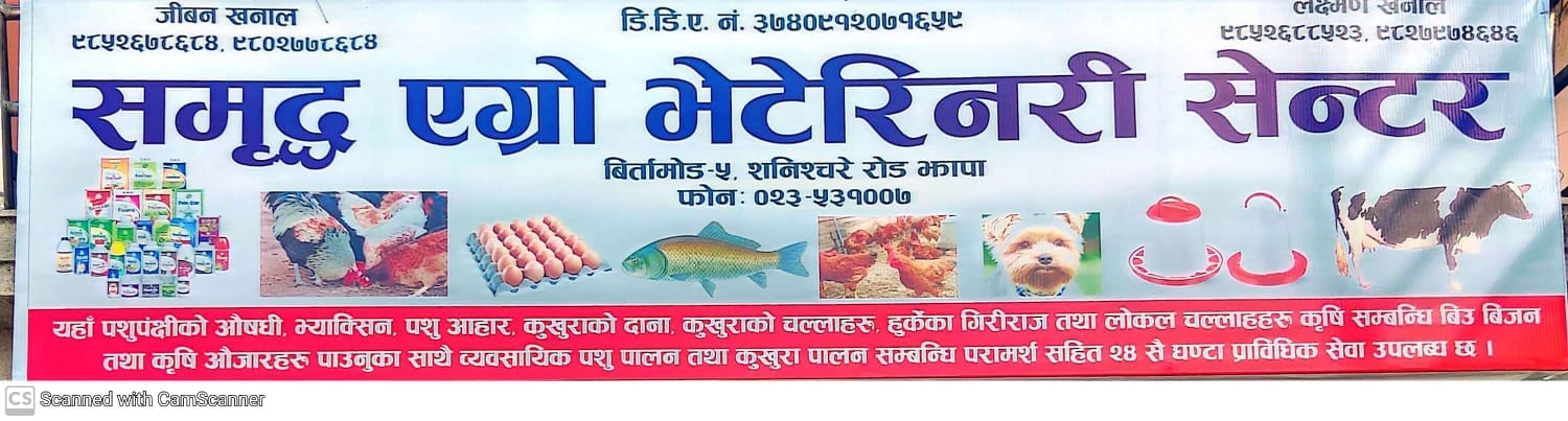 Company Banner 1