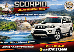 Company Banner 4