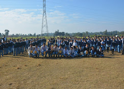 Company Banner 4