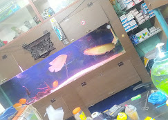 Company Banner 2
