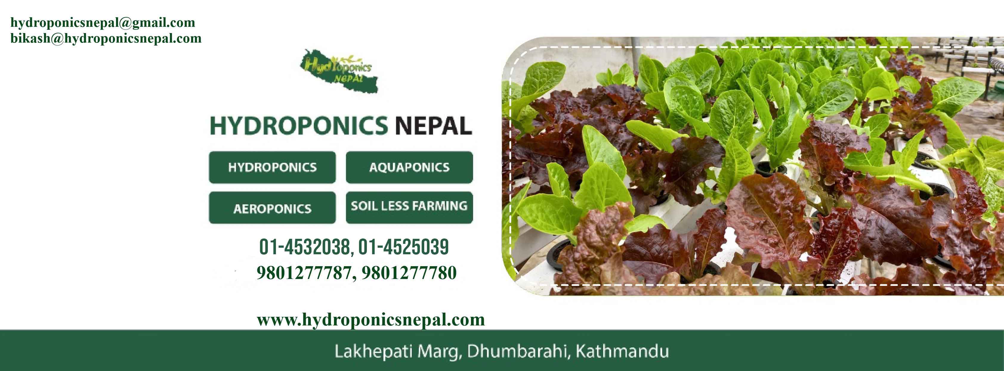 Company Banner 1