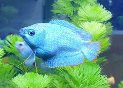 Company Banner 1