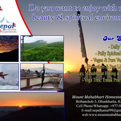 Company Banner 1