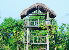 Company Banner 8