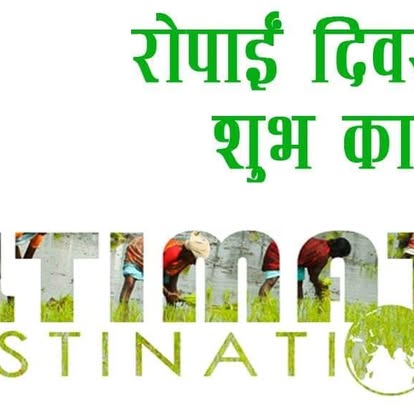 Company Banner 4