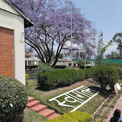 Company Banner 1