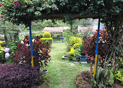 Company Banner 8