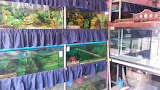 Company Banner 3