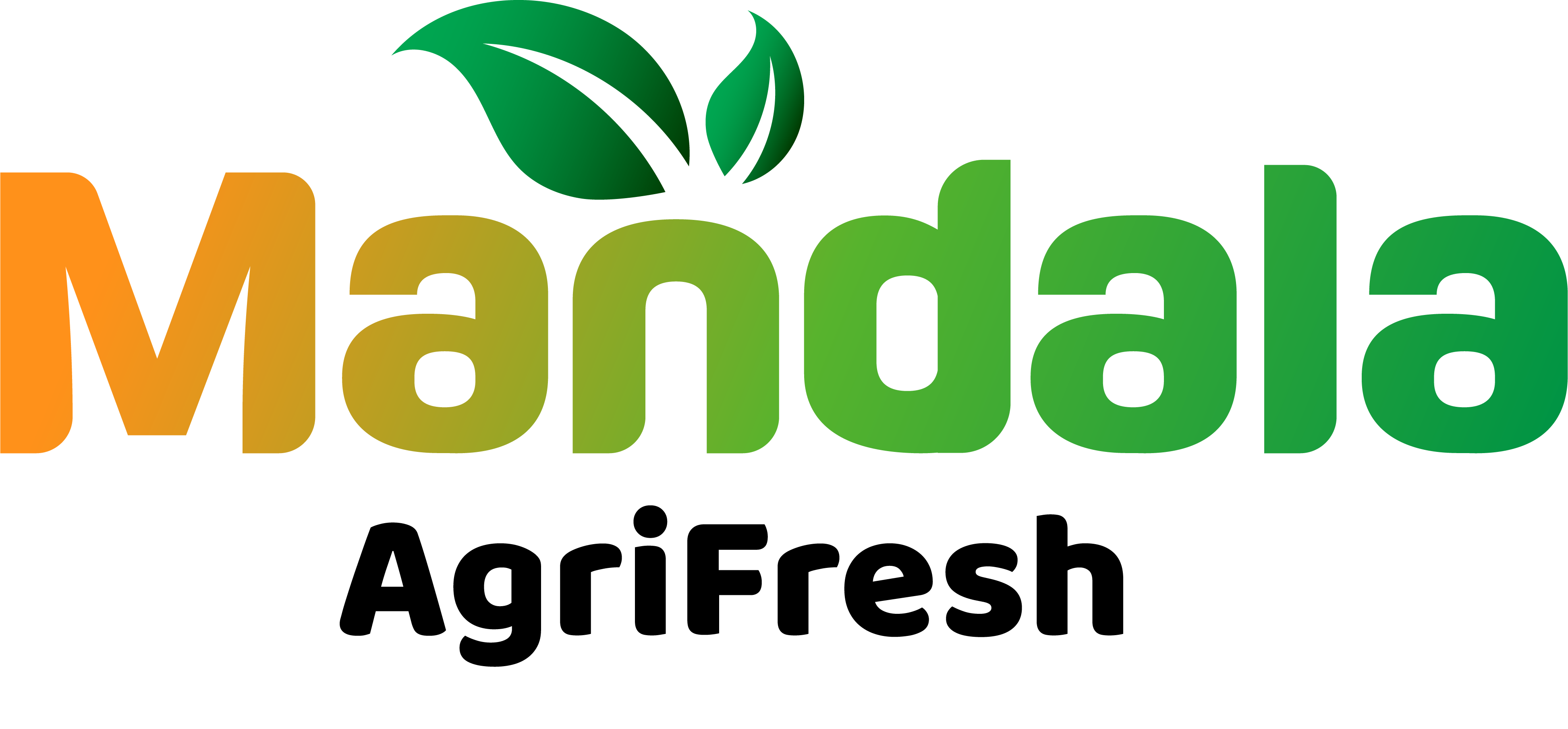 Company Banner 1