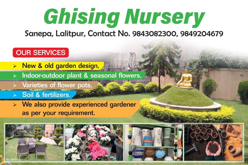 Company Banner 1